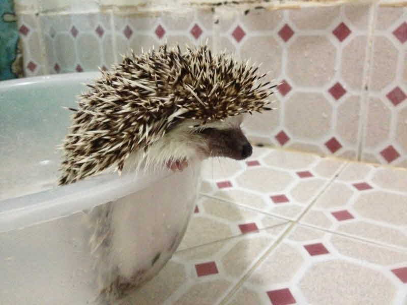 슬라이드 이미지