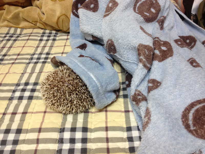 슬라이드 이미지